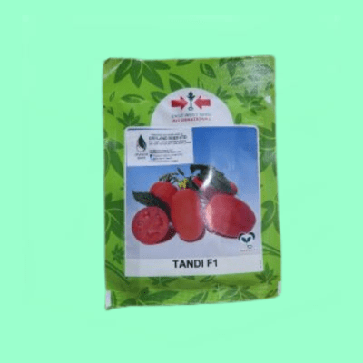 Tandi F1